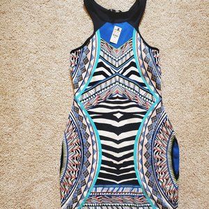 Express Zebra Print Dress (Size M)